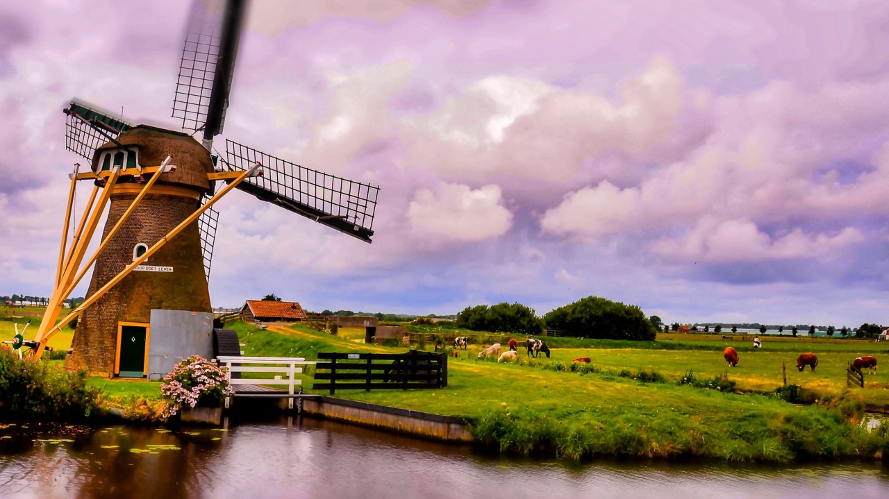 Header illustration for article: A Practical Guide to Living in the Netherlands